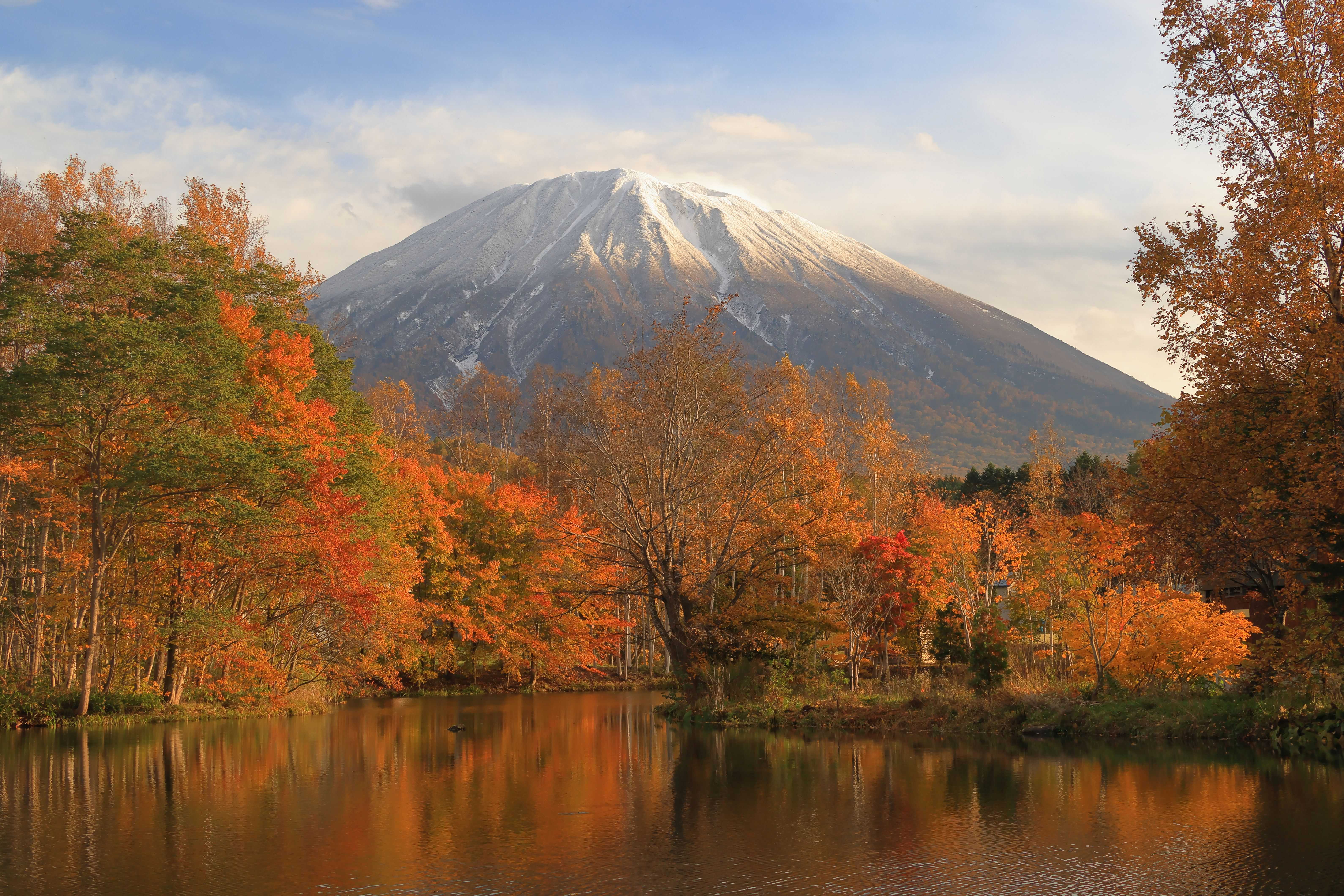 富士山世界遺産写真コンテスト | 観光特集 | 【公式】静岡県観光ガイド